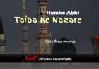 Ham Ko Abhi Taiba Ke Nazare | Anas Younus