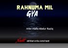 Rehnuma Mil Gaya | Hafiz Abdur Raziq
