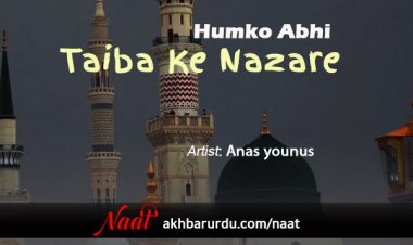 Ham Ko Abhi Taiba Ke Nazare | Anas Younus
