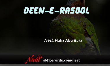 Deen E Rasool | Hafiz Abu Bakr