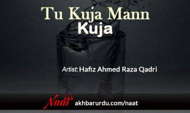 Sar Mera Jhuka Hai | Hafiz Muhammad Tahir Qadri - Naat | Download Naat ...