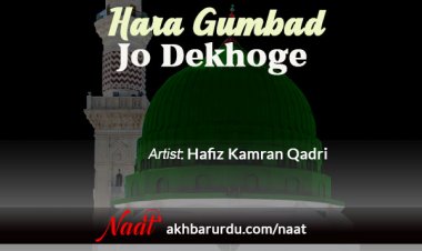 Hara Gumbad Jo Dekhoge | Hafiz Kamran Qadri