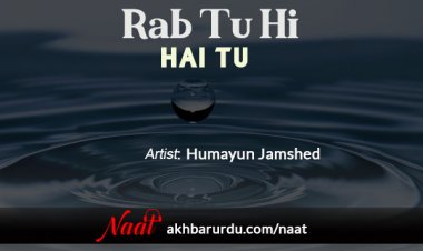 Sar Mera Jhuka Hai | Hafiz Muhammad Tahir Qadri - Naat | Download Naat ...