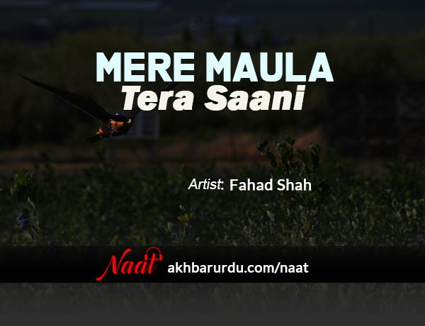 Mere Maula Tera Saani | Fahad Shah