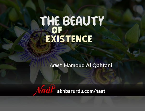 The Beauty of Existence | Hamoud Al Qahtani