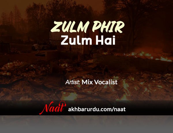Zulm Phir Zulm Hai | Mix Vocalist