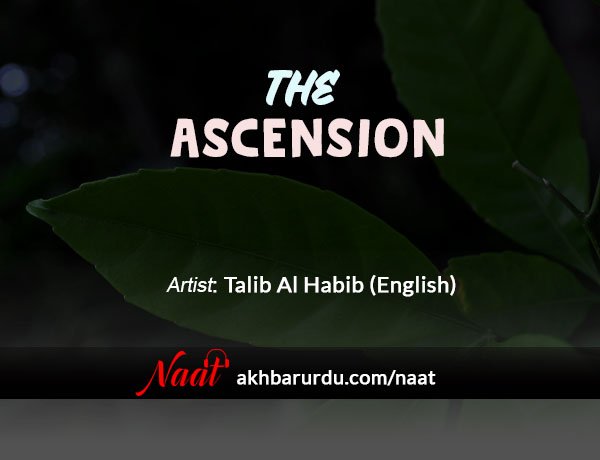 The Ascension | Talib Al Habib (English)