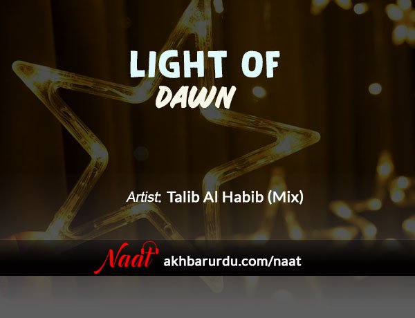 Light of Dawn | Talib Al Habib (Mix)