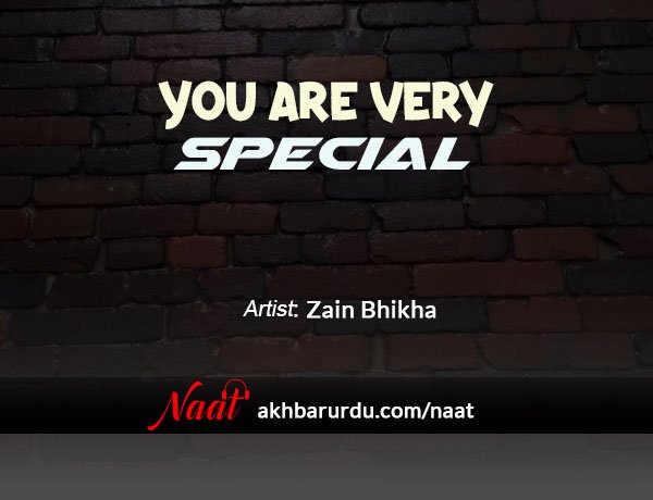 You Are Very Special | Zain Bhikha