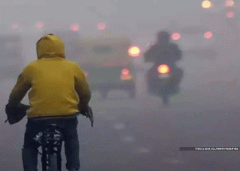 اس سال نومبر گزشتہ پانچ سالوں کے مقابلے میں سب سے زیادہ گرم رہا