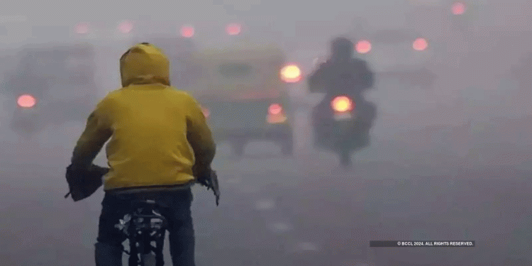 اس سال نومبر گزشتہ پانچ سالوں کے مقابلے میں سب سے زیادہ گرم رہا