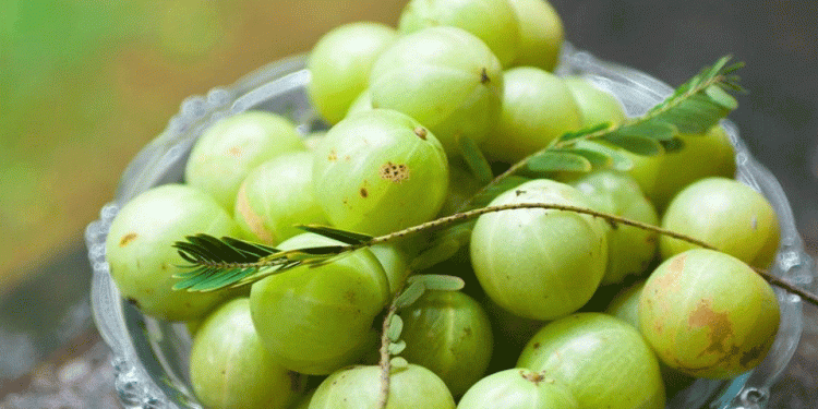 آملہ بچوں سے لے کر بوڑھوں تک کے لئے مفید