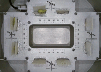 اسرو کو خلا میں بیج کو اُگانے میں بڑی کامیابی ملی