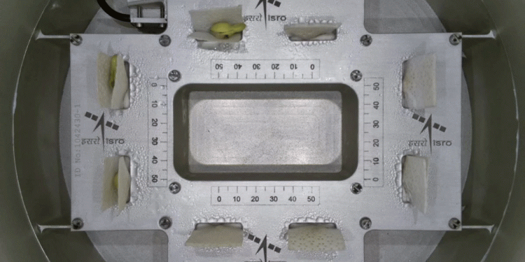 اسرو کو خلا میں بیج کو اُگانے میں بڑی کامیابی ملی