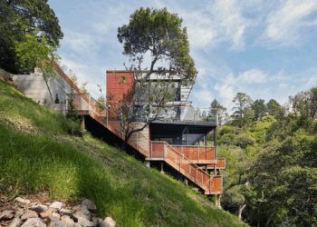 ترقی اور ماحولیات کے درمیان توازن  وقت کی ضرورت