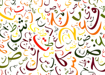 اردو کو تعصب کی نگاہ سے دیکھنا آئین و قوم کی توہین-ڈاکٹر سید احمد خان