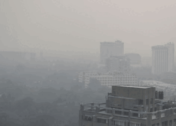 دہلی کو فضائی آلودگی سے بچانے کے لیے  سخت کارروائی کی ضرورت