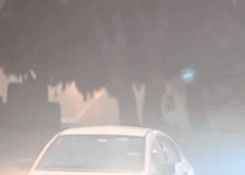 قومی راجدھانی کو صحت عامہ کی ہنگامی صورتحال کا سامنا