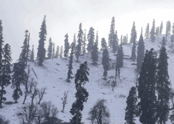 کشمیر میں نئے سال پر برفباری کی امید