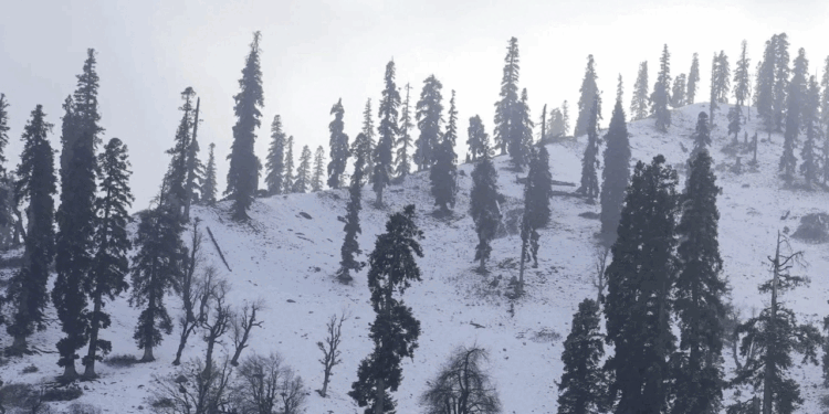 کشمیر میں نئے سال پر برفباری کی امید