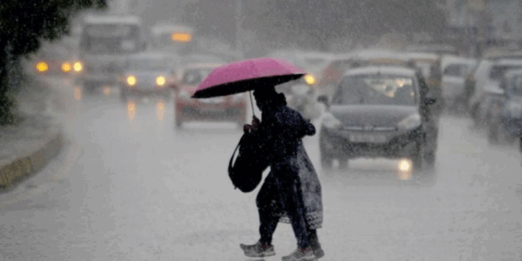 دہلی-این سی آر میں موسلا دھار بارش اور ژالہ باری