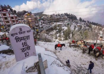 ہماچل پردیش میں شدید برفباری