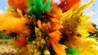 مسلم دکانداروں کو رنگ اور گلال فروخت کرنے سے روکا جائے۔پھلاہاری مہاراج