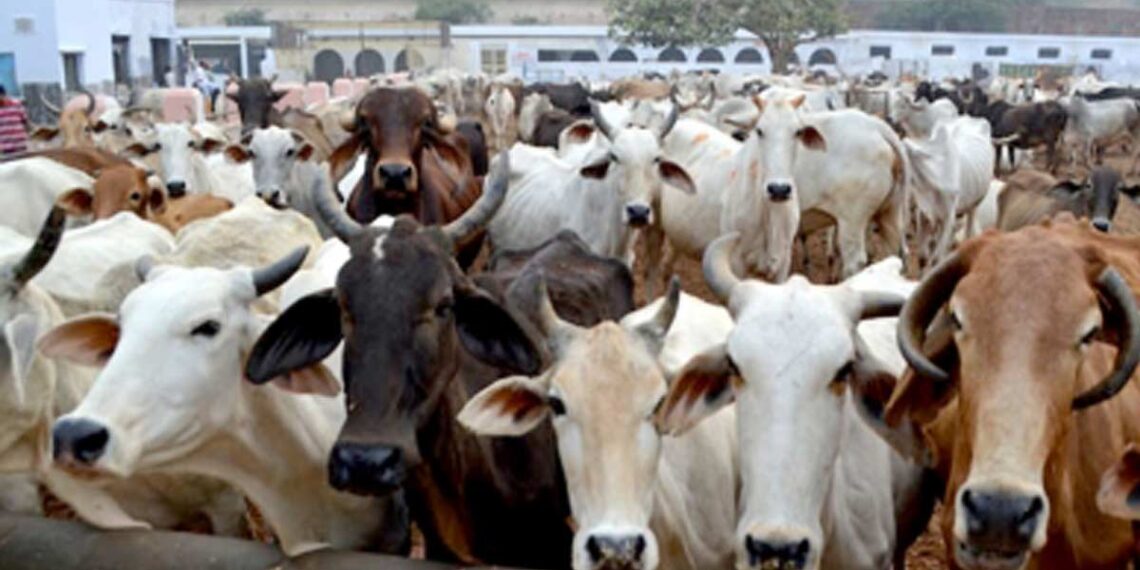 کرناٹک میں بقرعیدپر مویشیوں کی خریداری سے مسلمانوں کا انکار