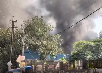 نوئیڈا میں آگ لگنے سے 6 دکانیں جل کر راکھ، ایک کی موت