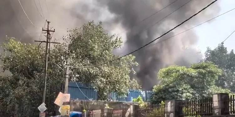 نوئیڈا میں آگ لگنے سے 6 دکانیں جل کر راکھ، ایک کی موت